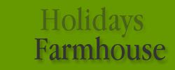 Holidays farmahouse "FONTE RICCIONE"