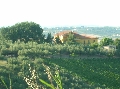 Agriturismo Fonte Riccione 42