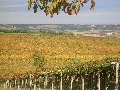 Agriturismo Fonte Riccione 47