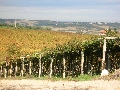 Agriturismo Fonte Riccione 48