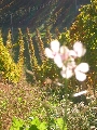 Agriturismo Fonte Riccione 52