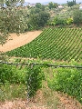 Agriturismo Fonte Riccione 57