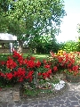 Agriturismo Fonte Riccione 67